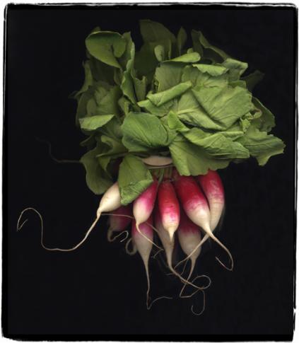 radishes